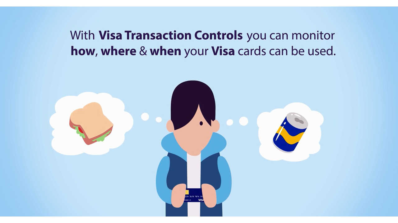 visa-transaction-controls